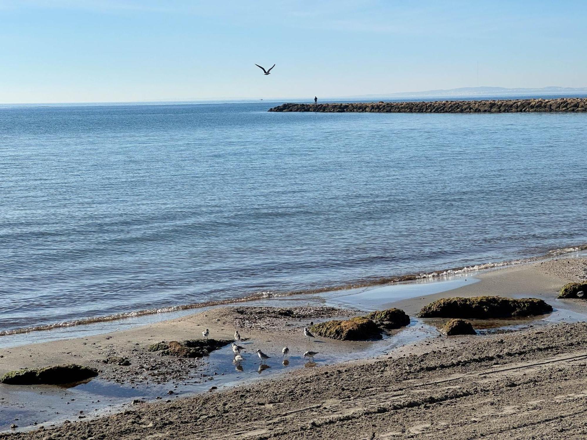 Appartement Solecito Santa Pola. Relax And 4 Min Away *